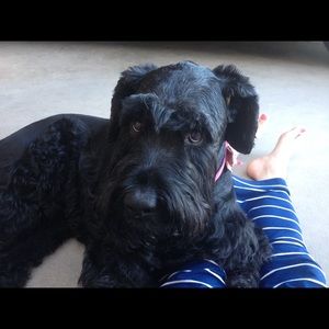 Meet your Posher, Deanna